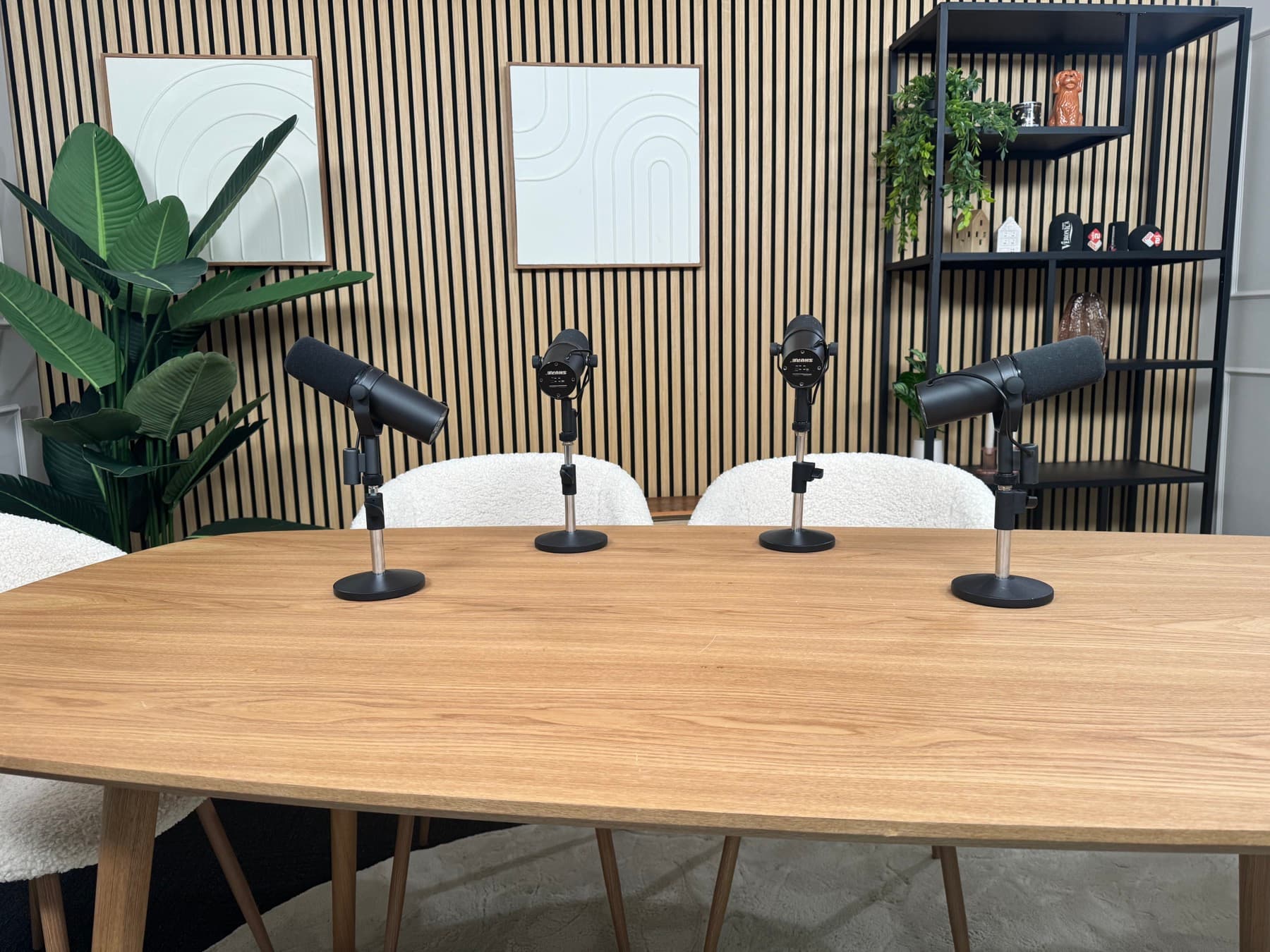 Broadcast microfoon